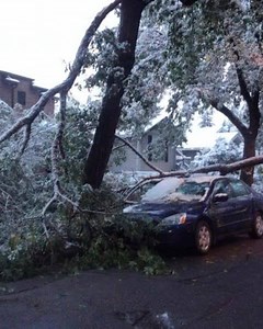 Emergency situations can occur without warning. Make sure you're prepared by taking the new Ready Calgary e-learning prep course. | City of Calgary – Your Local Government