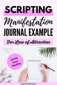 Scripting Manifestation Example (What Went Well and Didn't) | Florida/NYC Trip 2019