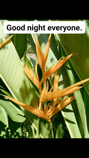 Lou Abitong on Reels