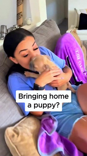 🐾 Early care matters! Support your young pet’s growth and wellbeing with Nature’s Protection supplements for a healthy start in life. ✨ | Superior Care Pet