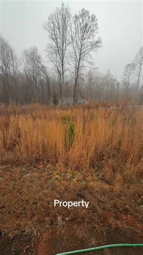 #fyp #property #lawncare