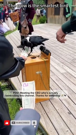 INTELLIGENCE: Crow Voice Mimic Glitch 🐦🔊 #OddlyEpic