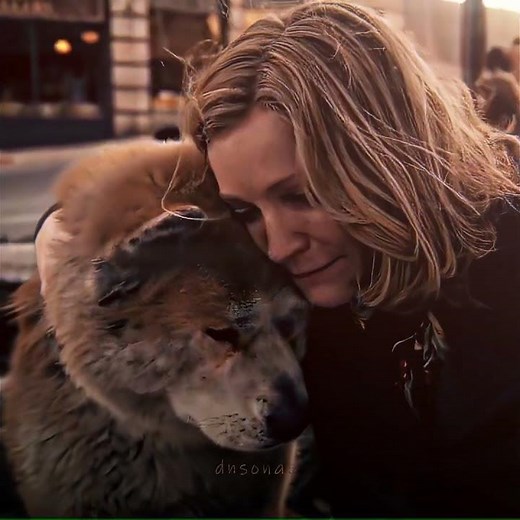 "Hachi has been waiting for more than 10 years" Hachi: A Dog's Tale #shorts #edit