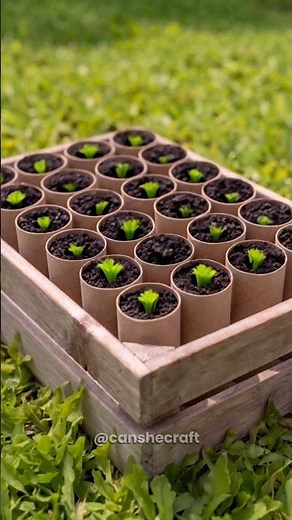 This Simple Gardening Trick Actually Works 😮