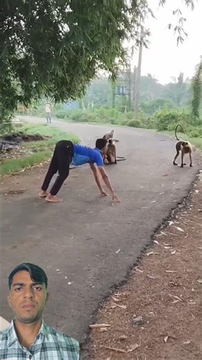 Boy Acts Like a Monkey — You Won’t Stop Laughing! 🐒🤣 #animals #monkey