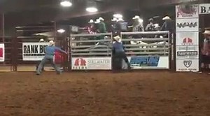 Bushwacker son, "Bushwacked," showing everyone he's following in his papa's footsteps this weekend! | Bushwacker, PBR Bucking Bull