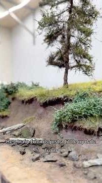 Mid week update on the HO Switching Layout #hoscale #modelrailroad #modeltrains #modelrailway