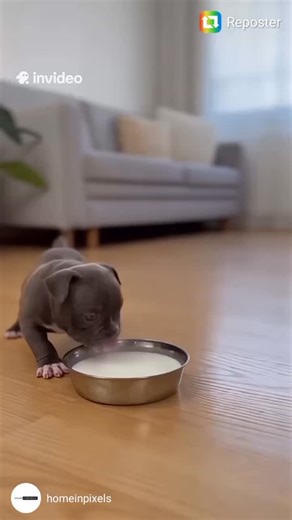 RAIDERS 44 on Instagram