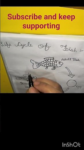 Lifecycle of fish//easy drawing of life cycle of fish//lifecycle of fish for kids @monicapunia