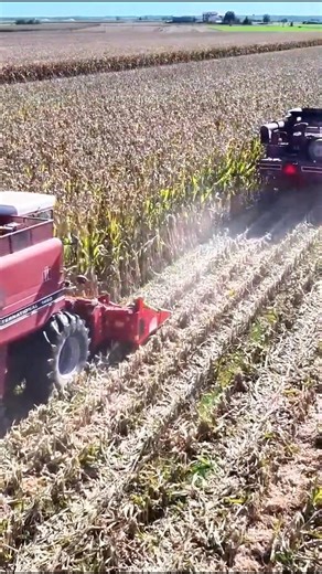 OMG🤨,multimachine working reels video #reels #farminglife #silageseason | Big Machines