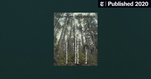 Behind the Cover: Tree Communication