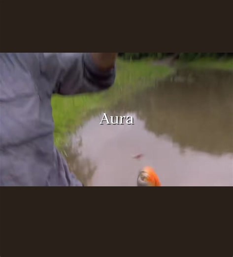 Face to Face with Piranhas: Jeremy Wade's Deadliest Swim