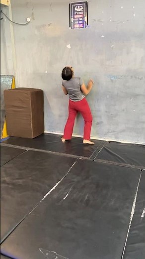 Bridge tutorial videos