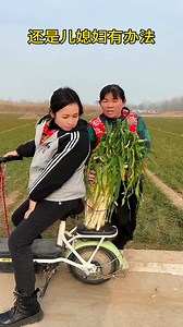 1.4M views · 4.4K reactions | Love degree motivational plan | Gy Dy | Facebook