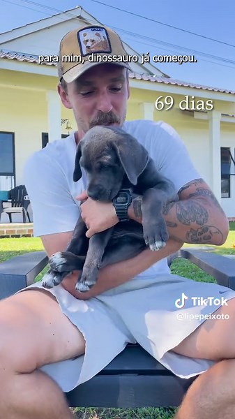 Cane Corso: 70 Dias de Aventura no Rancho