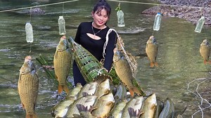 Simple way to catch fish from bamboo traps, Harvest a lot of giant fish to sell | Court Shows