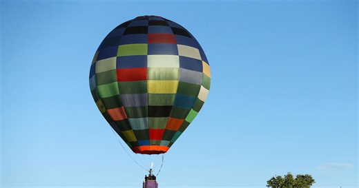 Texas' wild hog problem