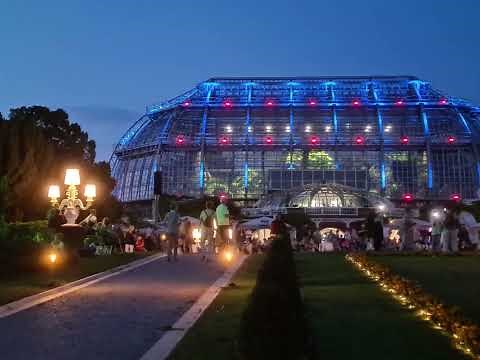 Botanika, Botanische Nacht im Botanischem Garten Berlin Juli 2023