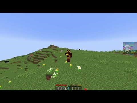 New DonutSMP Dupe (unpatched!!!)