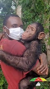 970K views · 46K reactions | Quand la fête de la musique s'invite sous la pluie ... cela nous donne envie de danser !! When the music festival takes place in the rain... it makes us want to dance!! | Association Papaye International | Facebook