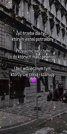 Filmy użytkownika 🐹🌲Sosenka🌲🔥 (@79sosenka) z muzyką Prawdziwi zostaną. Zawsze - ♥ﮩ٨ـﮩﮩ ηιєσвℓι¢zαℓηα ﮩﮩـ٨ﮩ♥