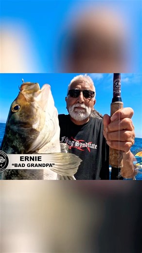 Coronado Island Yellowtail vs. Fishing Syndicate! 🎣🇲🇽