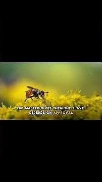 From Reactive to Proactive | Take Control of Your Life | Dr. Myles Munroe Teachings #motivation