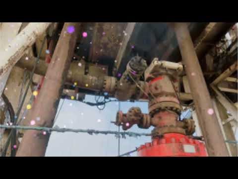 Clark rcd rotating control device