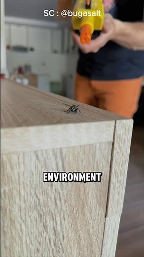 Eco-Friendly Insect Eliminator, The Salt Gun for Pest Control 😍 (‪@BUGASALT‬) #shorts