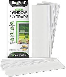 Window Fly Traps – 12 Pack | Transparent Sticky Fly Trap for Windows | Discrete, Extra Large Insect Glue Trap and Indoor Bug Catcher for House Flies and Other Flying Insects