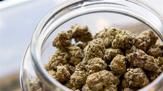 'Gary Payton Flower' cannabis strain recalled from Salem, Portland dispensaries