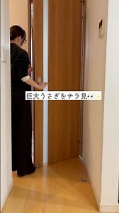 巨大うさぎをチラ見👀✨私を見つけるとテンションが上がるグレーさんが愛おしすぎる😭💓#フレミッシュジャイアント #うさぎ #もふもふ #癒し #rabbit #bunny