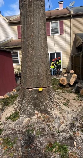 edwinrodriguez2021 on TikTok