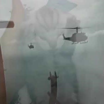 Cat has Vietnam flashback