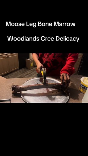 Moose Leg Bone Marrow: A Delicacy Enjoyed by Crees