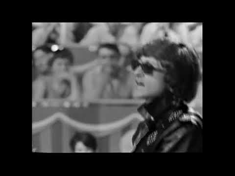 Michel Polnareff tout, tout pour ma chèrie