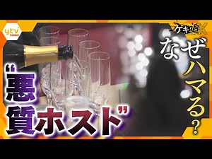女性客を“一撃”で落とし、行きつく先は“性風俗店”も…相次ぐ“悪質ホスト”問題 女性たちの本音と驚くべき手口【かんさい情報ネットten.特集/ゲキツイ】