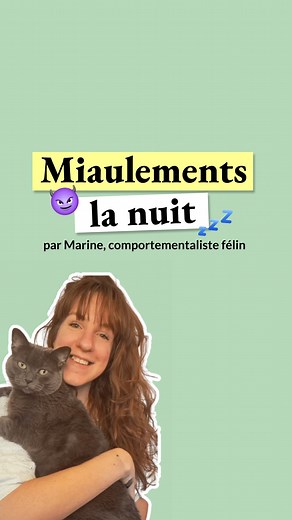 Caats on Instagram: "Ton chat miaule la nuit ? 💤😼 On te donne des solutions ! Si t’as des questions sur le comportement de ton chat, écris-les en commentaire. Marine, comportementaliste félin @leguideduchat y répondra peut-être lors de notre prochain live ! 🗓️💬 LIVE QUESTIONS/REPONSES tous les premiers mardis du mois en simultané sur nos comptes Instagram et Tiktok. Connecte toi le mardi 3 décembre prochain à 19:00 🔔 #chat #jaimemonchat #catlover #comportementaliste #comportementfelin #chat