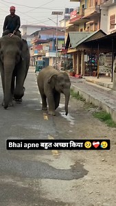 612K views · 10K reactions | #वायरल #ट्रेंडिंग #रील्स ️ IP प्राप्त...