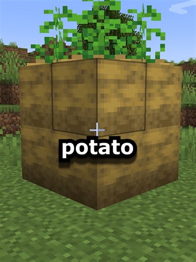 Enhance Your Minecraft Experience with New Big Crops