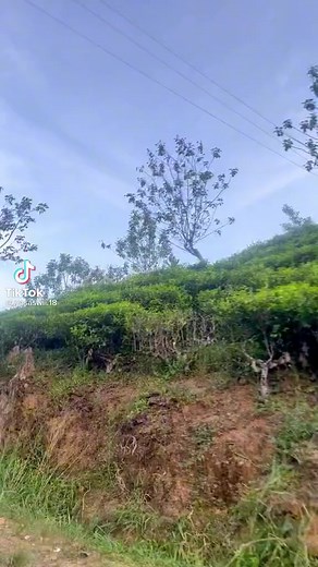 O2 Villas,Ella 😍 Credit should go to the original creator ❤️ | TripInfo