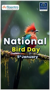 🦚Birds play a vital role in our ecosystem. To observe National Birds Day, let's look at their importance in our environment and why it is necessary to conserve them. . . #childhelpfoundation #filaantro #NationalBirdDay #BirdWatching #environment | Child Help Foundation