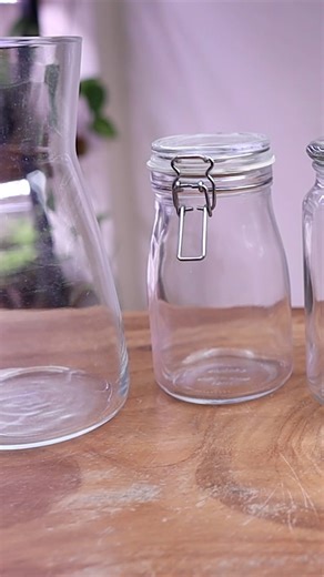 15K views · 219 reactions | Containers for terrariums #container #glass #terrarium | The Urban Nemophilist | Facebook