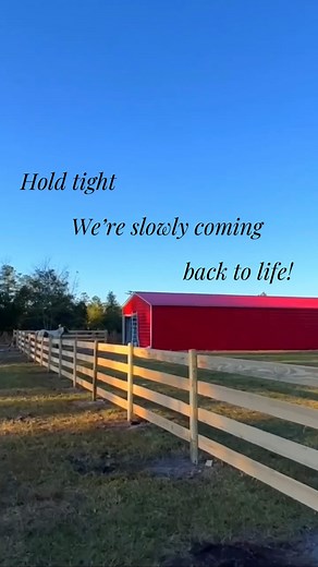 Starting over with 203 animals has by far been the most challenging chapter of our journey, thank you for being here❤️ | Alyssa’s Animal Sanctuary