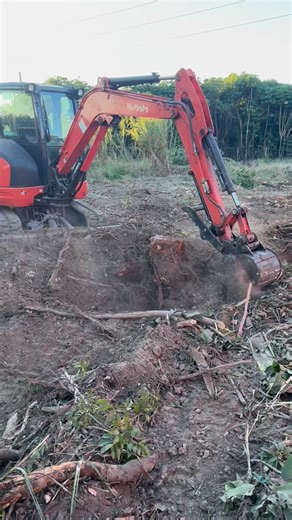 Gusmel Franco | Tree service in Miami on Instagram: "Franco Brothers LLC 🌳💪Tree Service • Junk Removal • Lawn Care • Fencing • excavation• Bobcat work•Concrete • stump removal. 7862816468 ☎️ #treeservice #bluecollar #lawncare"