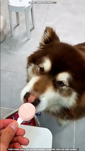 🔥Watch till the end 😱❓ mini wood toy- woodworking art skill/wood/ #shorts #viral #facts