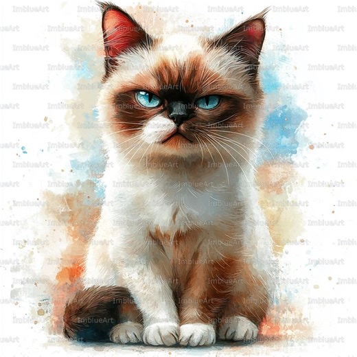 24 Funny Grumpy Cat Clipart, Angry Cat Character Illustration, Humorous Pet Emotion Scene, Watercolor Printable JPG, Scrapbook, Junk Journal - Etsy