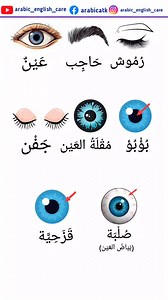 Learn parts of eye names in English #speakarabic #تعلم_الإنجليزية #ArabicLanguage | MD Atik