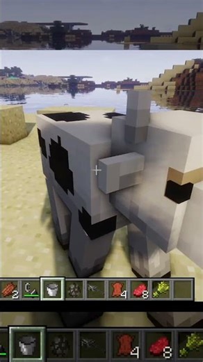 The SECOND way to clear effects in MINECRAFT? 😱