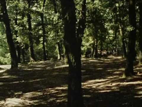 Sharpe' waterloo part 8